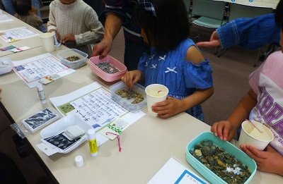 2025年5月石ころのゆびわを作ろう画像1