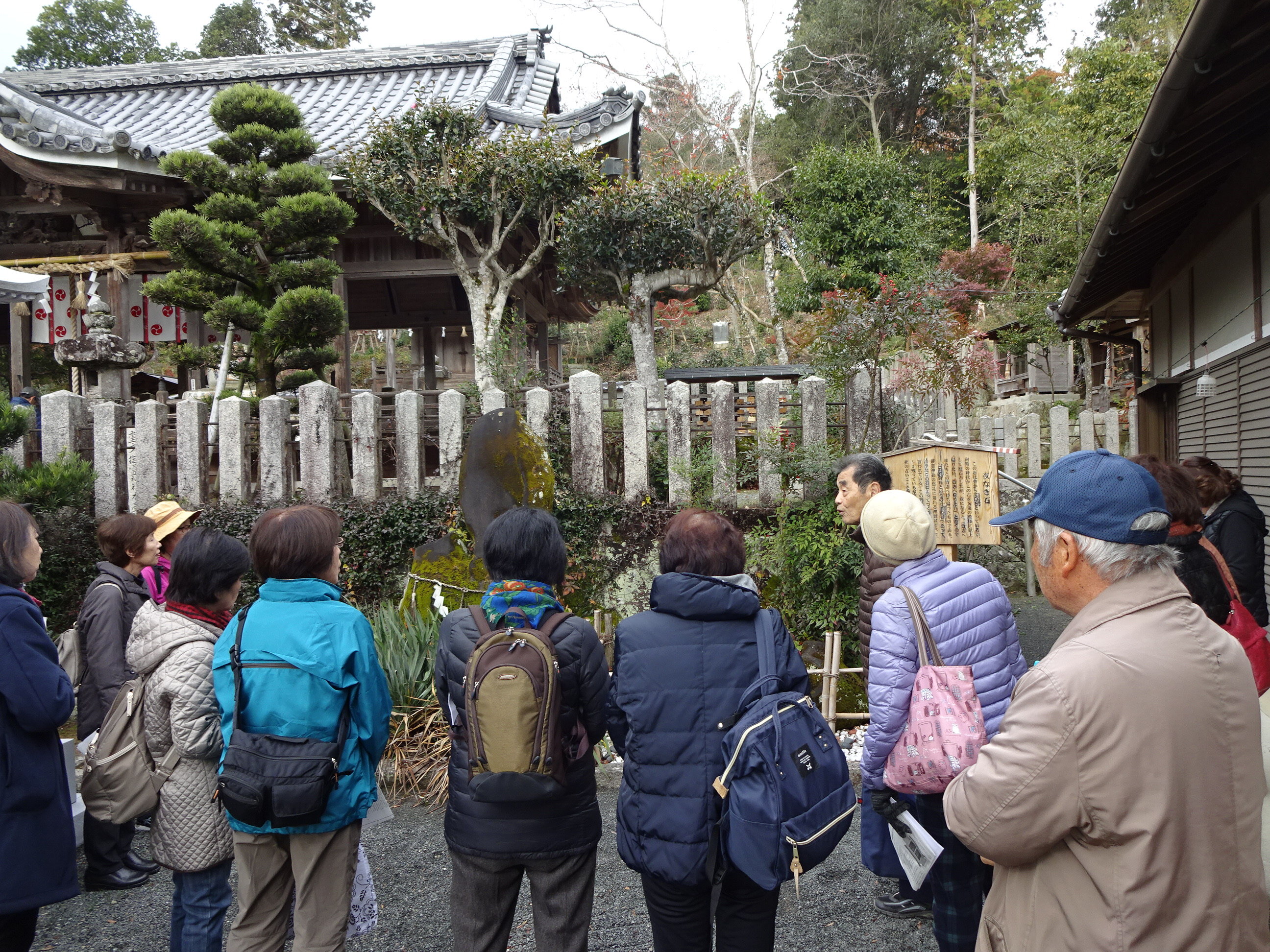 2019年12月3日、12月11日1の画像